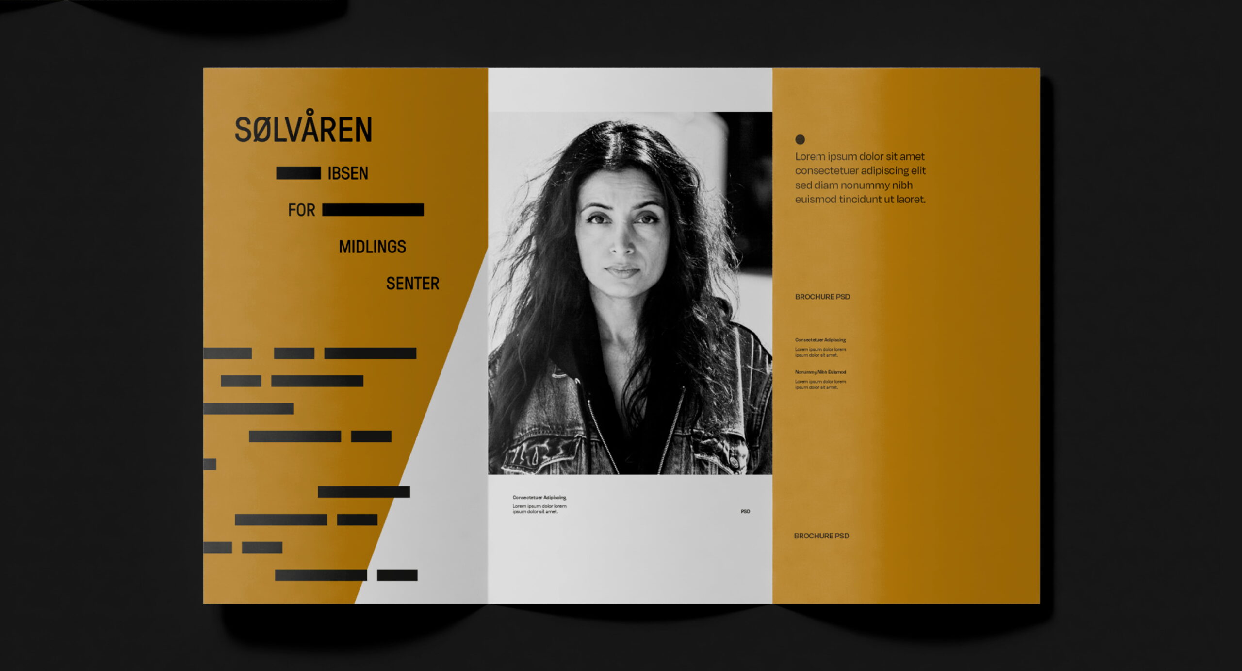 Sølvåren – visuelt konsept og grafisk profil