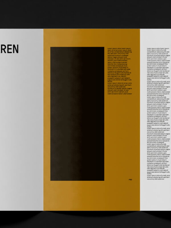 Sølvåren – visuelt konsept og grafisk profil